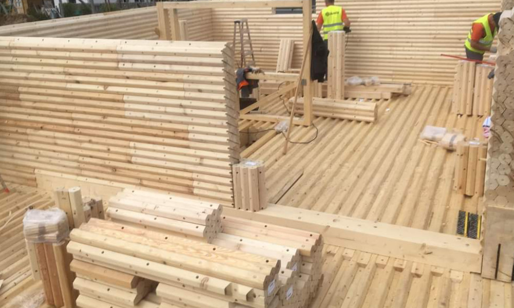 Toepassingen Paulownia